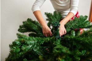 Are Christmas Tree World Trees Worth It?