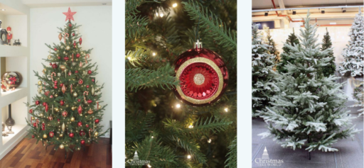 Full and bushy Christmas tree