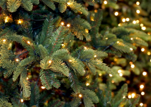 Christmas Tree Light Colours: A Look At Your Options